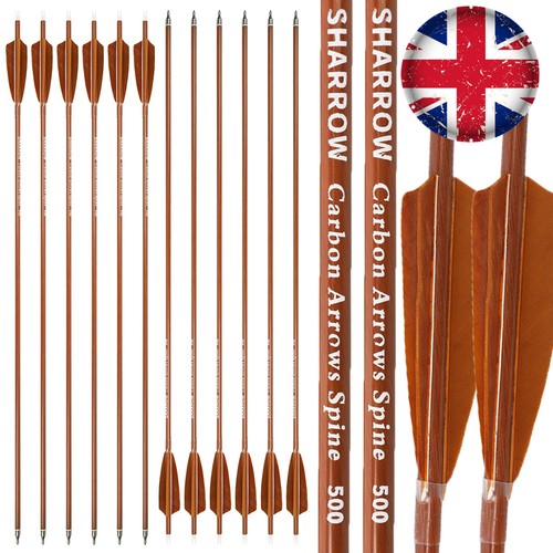 12x archery carbon arrows - 12x,