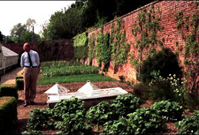 The victorian kitchen garden - the,