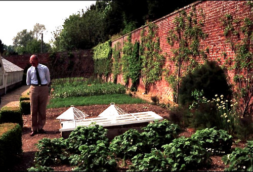 The victorian kitchen garden - kitchen,