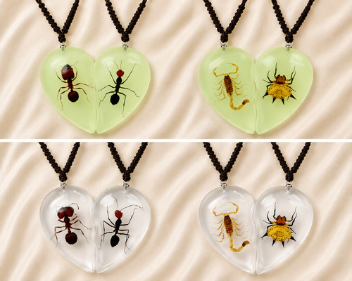 Real insect heart necklace - real,