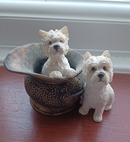 Two westies west highland - two,