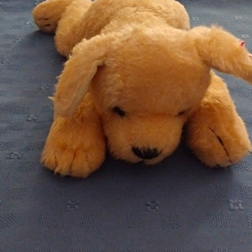 Beanie buddies sunny - beanie,