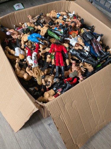 Huge wwe wrestling figure - wwe,