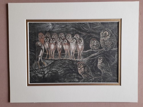 Louis wain antique print - print, 1892