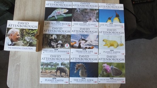 David attenborough the - david, attenborough,the