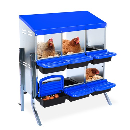 10compartment mental - 6/8/10compartment,
