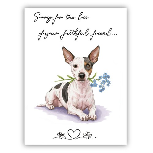 American hairless terrier - american,