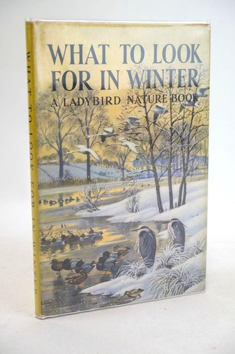 What look for winter - for,
