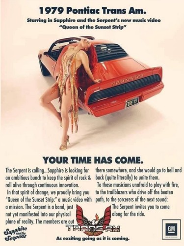 1979 pontiac trans - 1979, 18x24