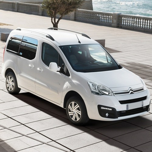 Pet world citroen berlingo - world, |