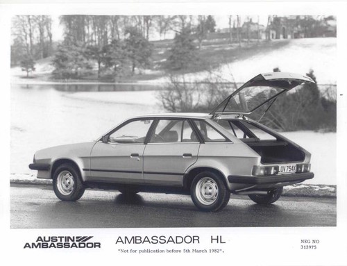 Austin ambassador original - hl,