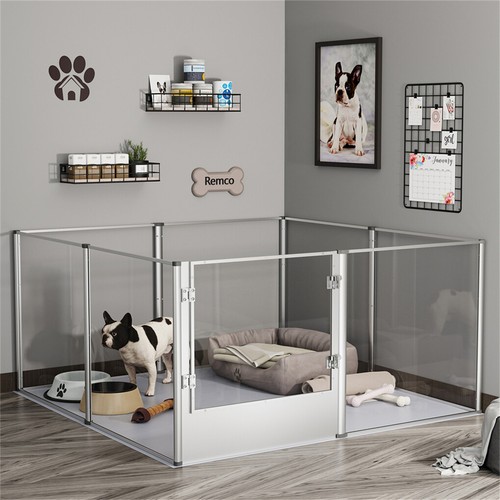 Clear acrylic dog - acrylic,