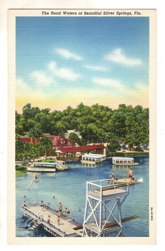 Silver springs head waters - head,
