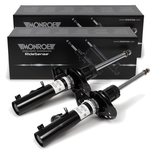 Shock absorbers c2516s - 2x,