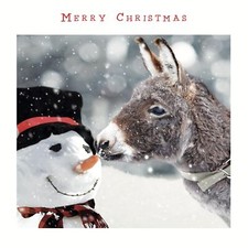Jolly Snowman in Top Hat & Donkey Photographic Pack of 5 Charity Christmas Cards