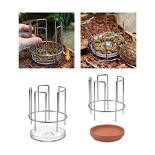Tortoise Feeding Dish Sturdy