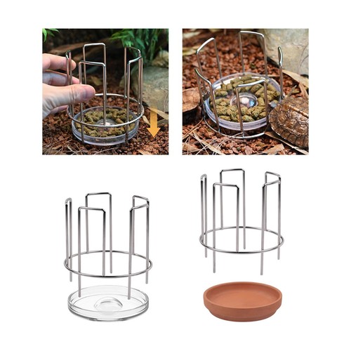 Tortoise feeding dish sturdy - tortoise,