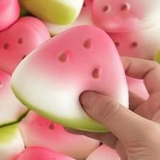 Squishy Watermelon Fidget Toy