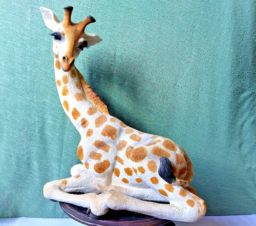 Giraffe sitting wildlife - giraffe,
