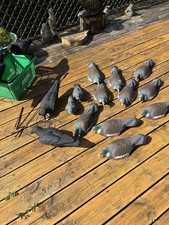 Pigeon & Crow Decoys Mix Lot