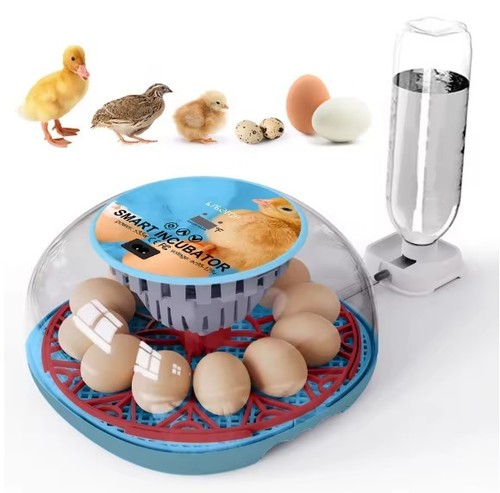 Automatic egg incubator - automatic,