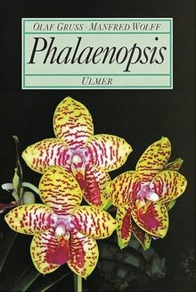 Phalaenopsis gruß olaf - by, gruß,