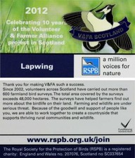 RSPB Pin Badge AMVfN Special V&FA Project - Lapwing (2012 Release) P00735