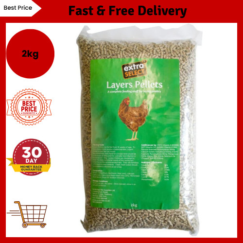 Chicken feed layers pellets - feed,