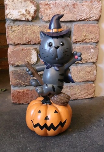 Maxx halloween grey - , cat