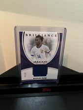 2024-2025 panini immaculate
