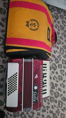 Bass piano accordion - bass,