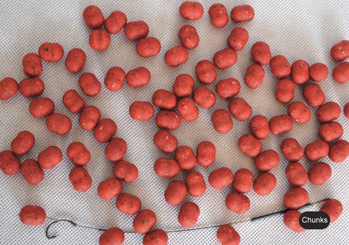 Fishing baits bloodworm - fishing,