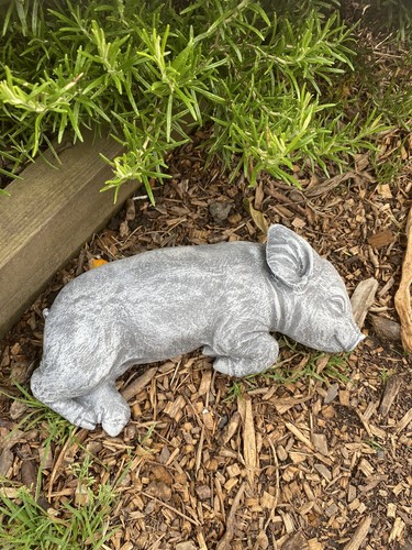 Pig piglet statue ornament - /,