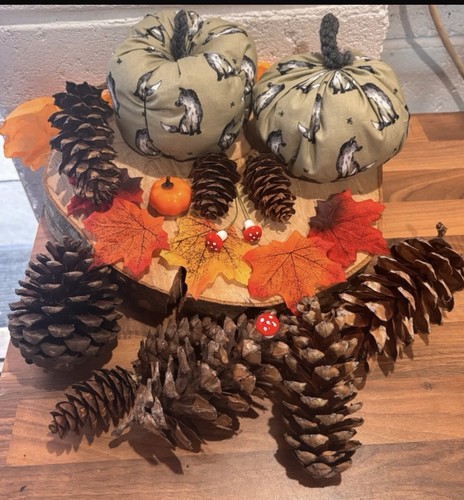 Fox theme autumn - theme, display