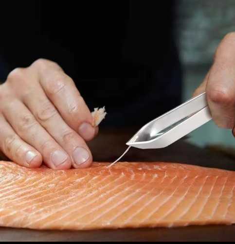 Stainless steel fish - steel, bone