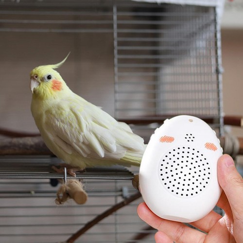 Parrot learning machine - machine,