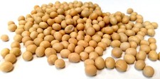 Soya Beans, Grade A Premium Quality, Free UK P&P