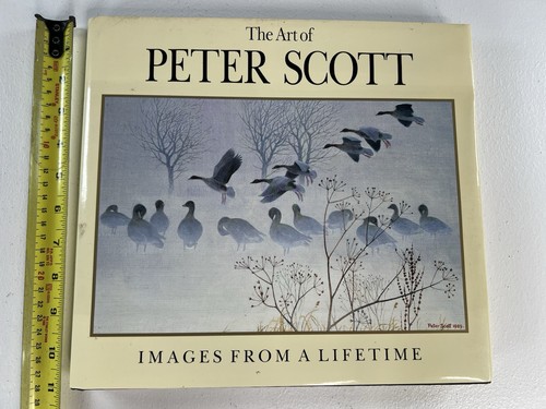 The art peter - art,