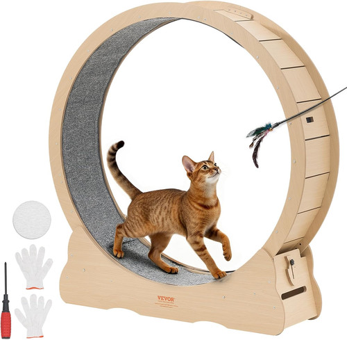 Cat exercise wheel in - exercise, 48