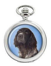 German Longhaired Pointer