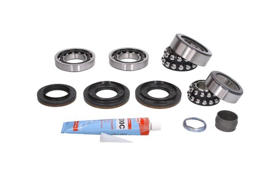 Differential repair kit fits