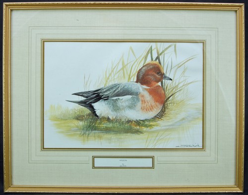 Framed print wigeon - print, of