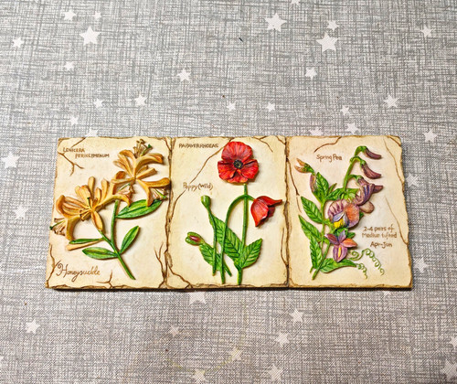 Set botanical floral - botanical,