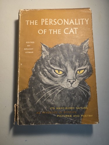 The personality cat - personality, of