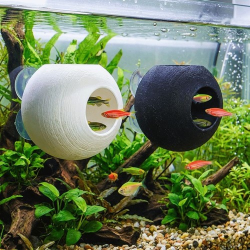 Fish shrimp hiding cave - hiding,