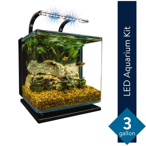 Tetra marineland contour - tetra,