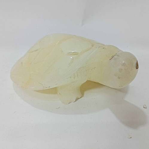 Onyx turtle - turtle, :
