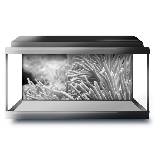 Fish tank background 90x45cm - fish,