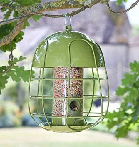 Squirrel proof bird feeder - bird,