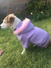 Jack Russell Dog Coat/Jumper/jacket/hoodie.Chest 19in/48-50cm Lilac Purple Spark